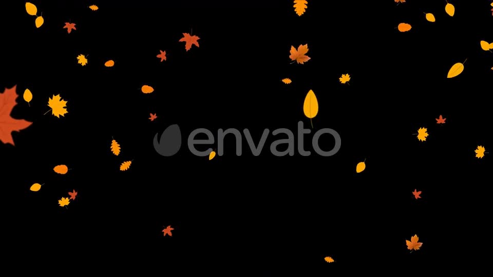 Autumn Leaves Falling Videohive 24715715 Motion Graphics Image 1