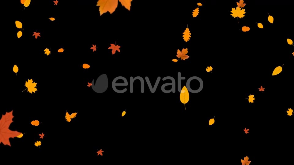 Autumn Leaves Falling Videohive 24715715 Motion Graphics Image 2