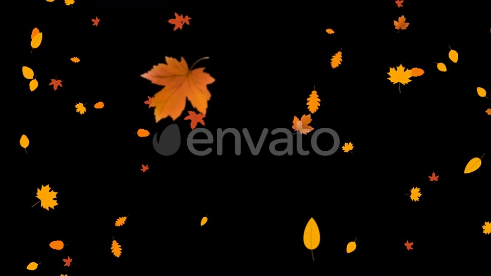 Autumn Leaves Falling Videohive 24715715 Motion Graphics Image 3