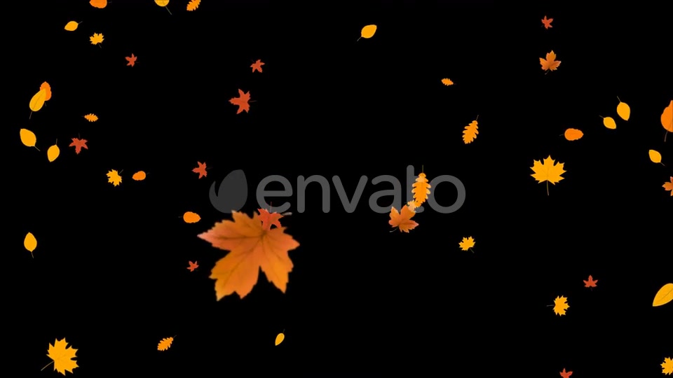Autumn Leaves Falling Videohive 24715715 Motion Graphics Image 4