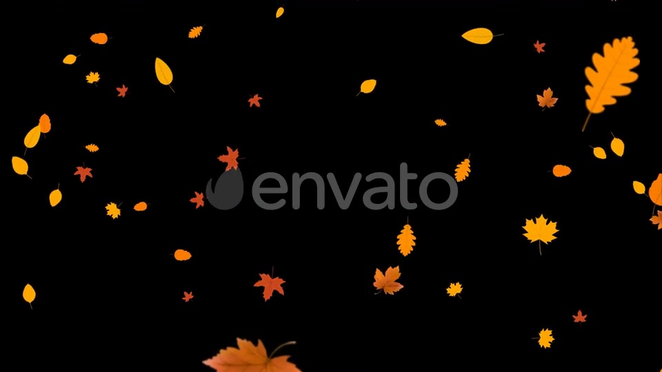 Autumn Leaves Falling Videohive 24715715 Motion Graphics Image 5