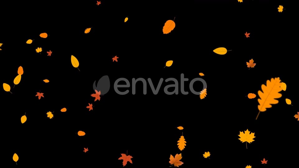 Autumn Leaves Falling Videohive 24715715 Motion Graphics Image 6