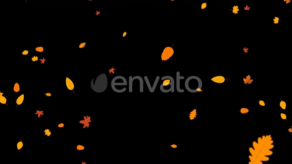 Autumn Leaves Falling Videohive 24715715 Motion Graphics Image 7