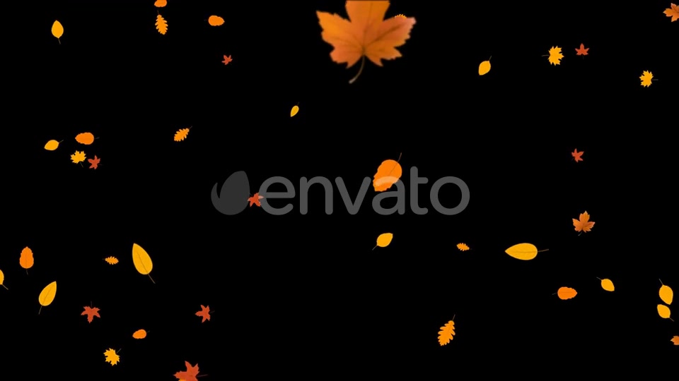 Autumn Leaves Falling Videohive 24715715 Motion Graphics Image 8