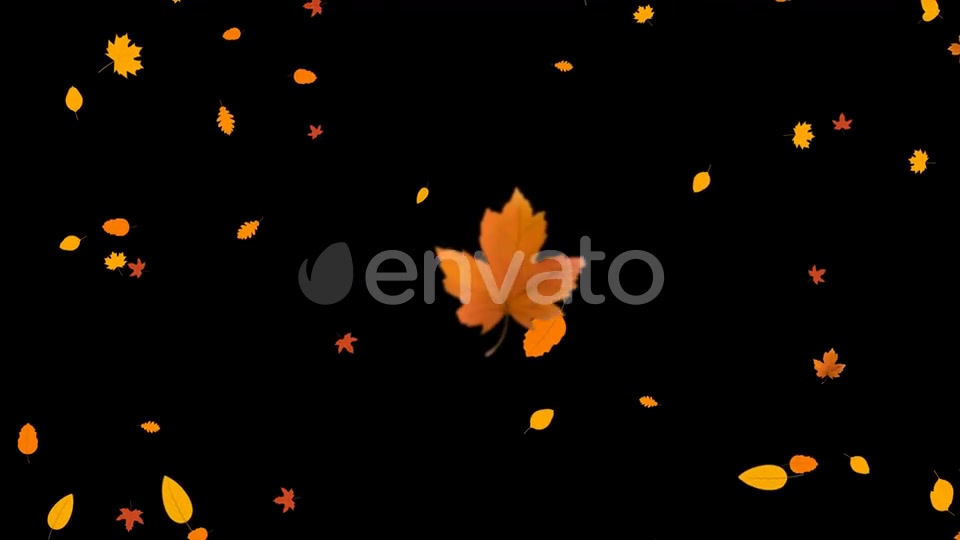 Autumn Leaves Falling Videohive 24715715 Motion Graphics Image 9