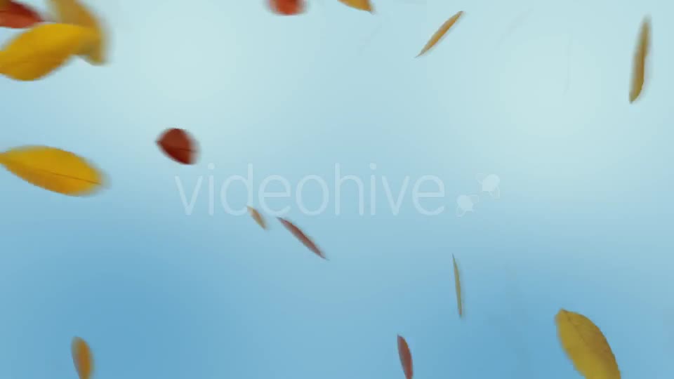 Autumn Leaves Transition Videohive 8989009 Motion Graphics Image 1