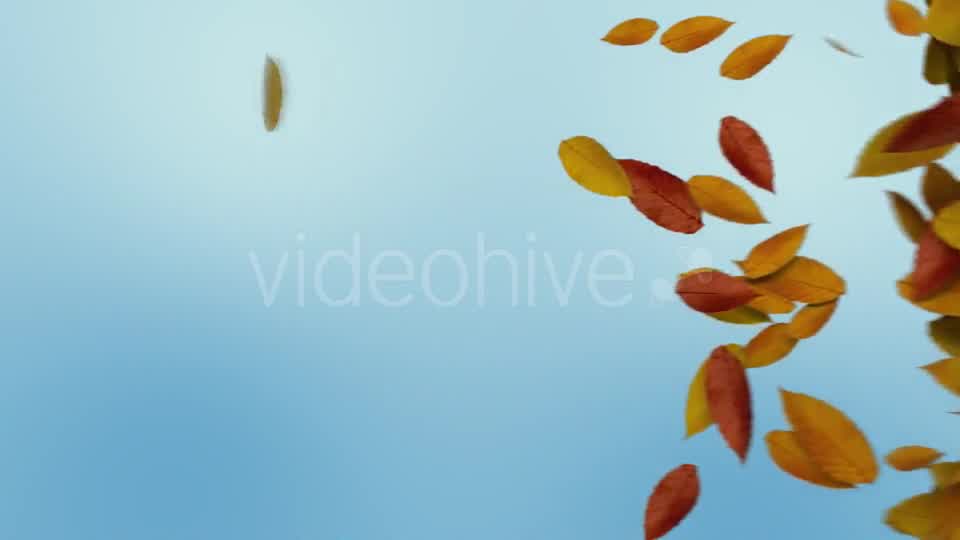 Autumn Leaves Transition Videohive 8989009 Motion Graphics Image 10
