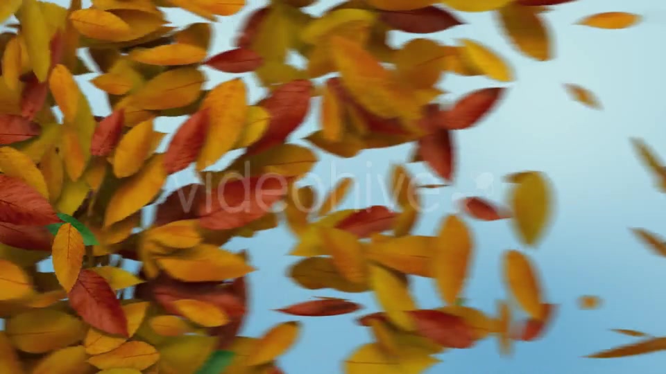 Autumn Leaves Transition Videohive 8989009 Motion Graphics Image 4