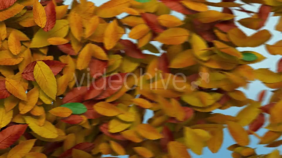 Autumn Leaves Transition Videohive 8989009 Motion Graphics Image 7