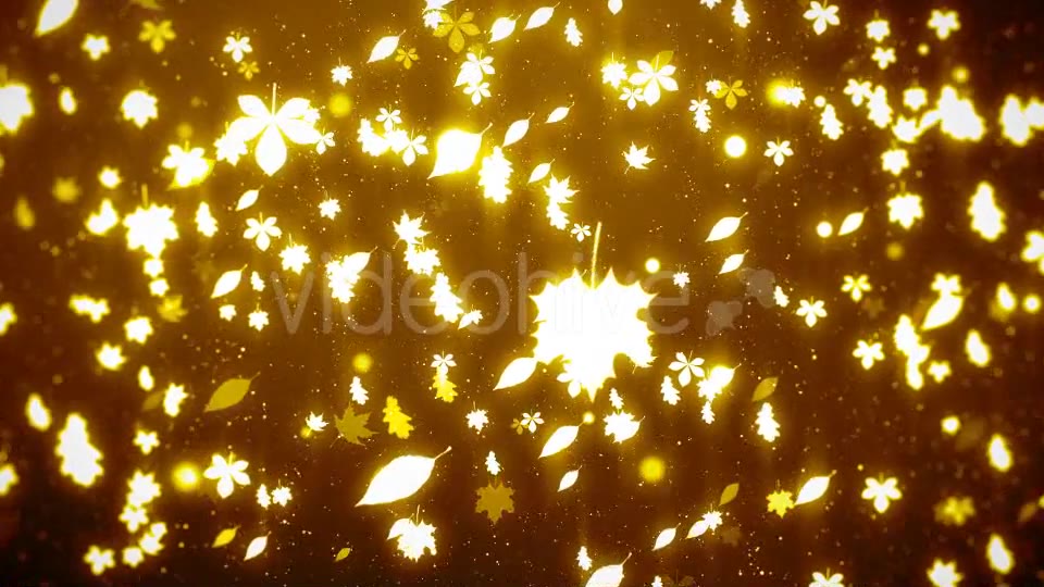 Autumn Motion Background Videohive 16638814 Motion Graphics Image 3