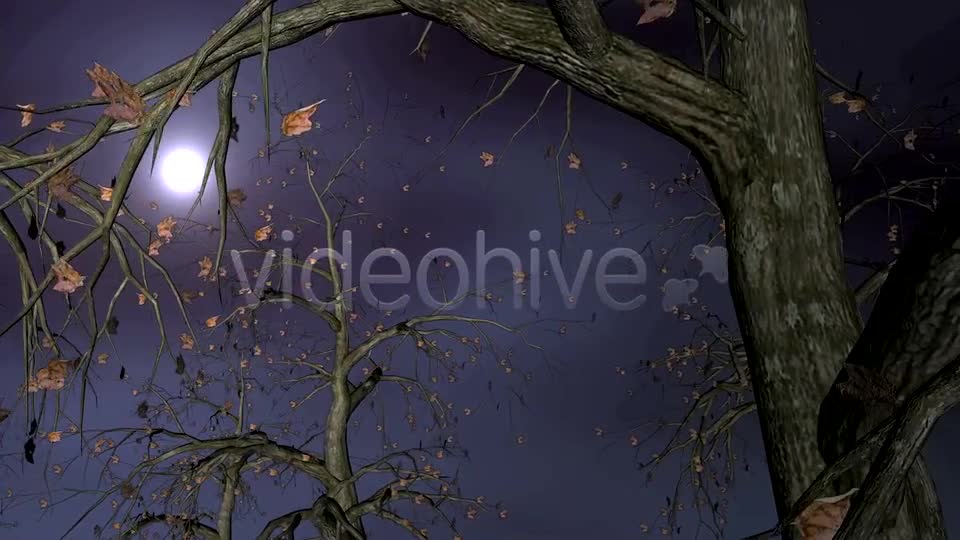 Autumn Night Forest 3D Loop Videohive 5534729 Motion Graphics Image 1