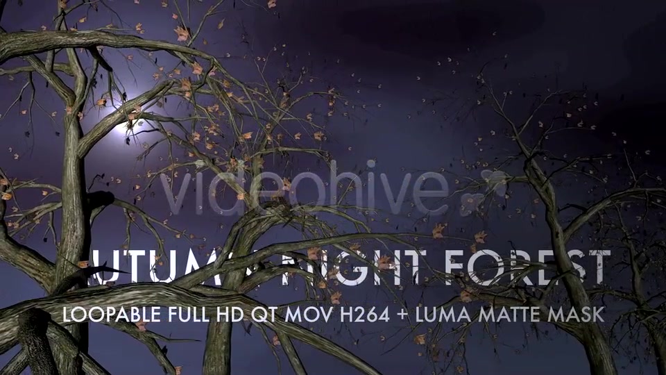 Autumn Night Forest 3D Loop Videohive 5534729 Motion Graphics Image 4