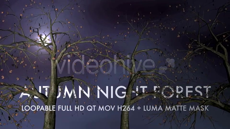 Autumn Night Forest 3D Loop Videohive 5534729 Motion Graphics Image 5