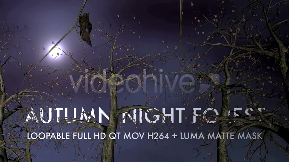 Autumn Night Forest 3D Loop Videohive 5534729 Motion Graphics Image 6