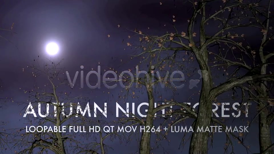 Autumn Night Forest 3D Loop Videohive 5534729 Motion Graphics Image 7