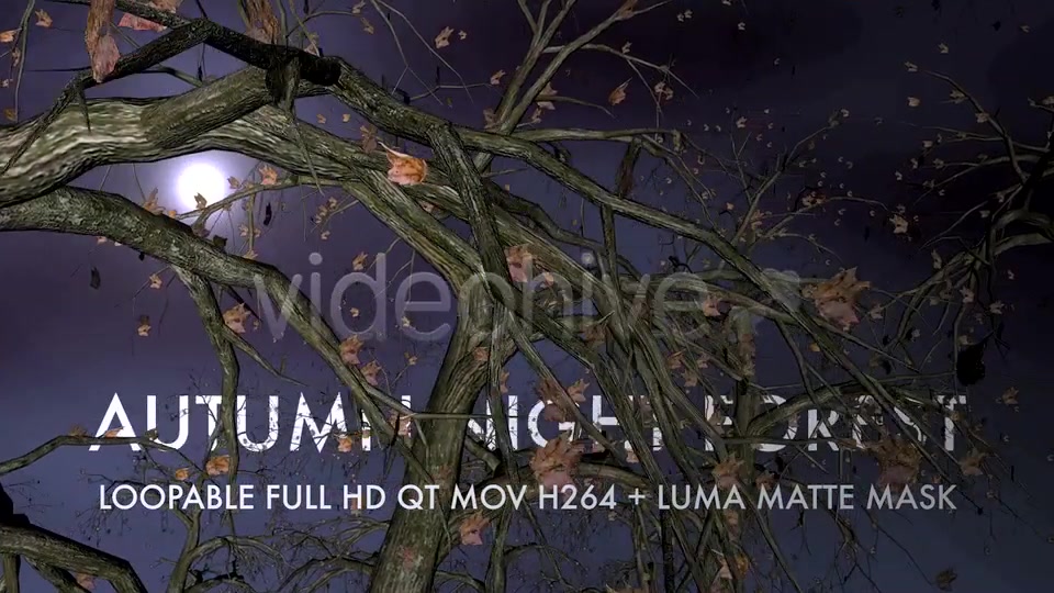 Autumn Night Forest 3D Loop Videohive 5534729 Motion Graphics Image 8