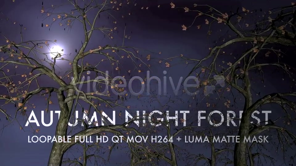 Autumn Night Forest 3D Loop Videohive 5534729 Motion Graphics Image 9