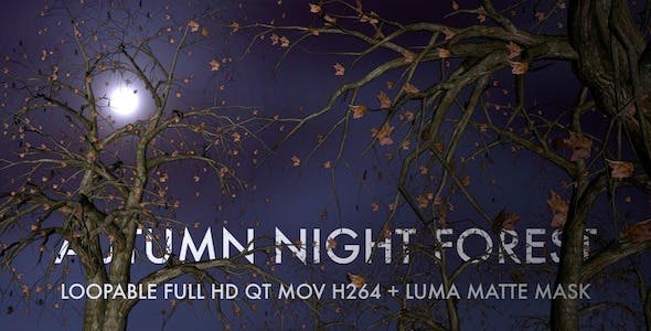 Autumn Night Forest 3D Loop - Videohive 5534729 Download