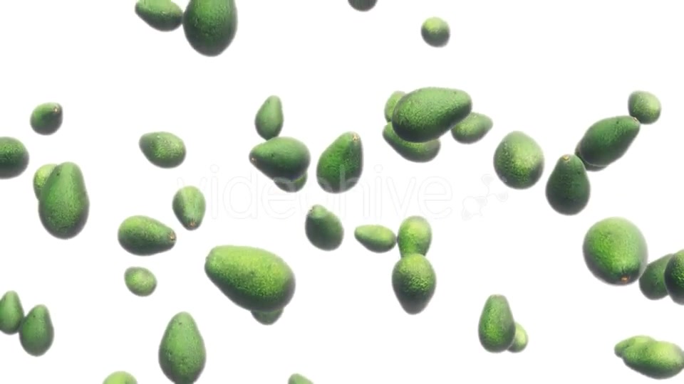 Avocados Falling Against White Videohive 19471105 Motion Graphics Image 10