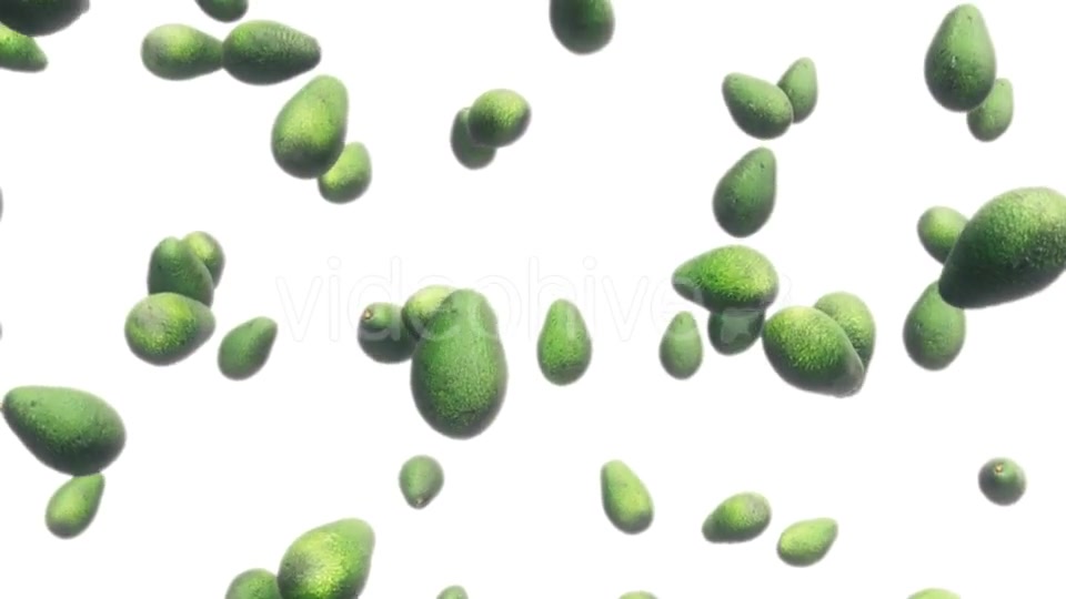 Avocados Falling Against White Videohive 19471105 Motion Graphics Image 4