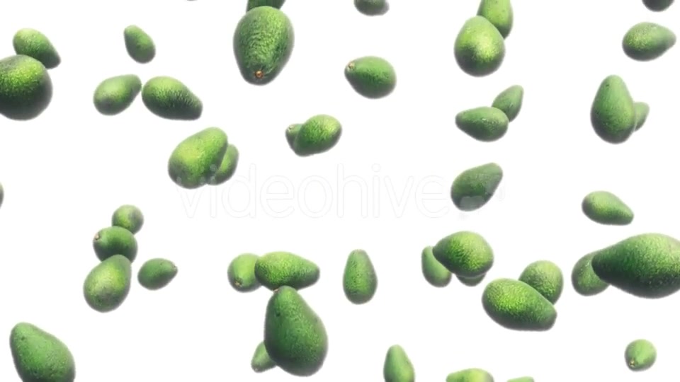 Avocados Falling Against White Videohive 19471105 Motion Graphics Image 5