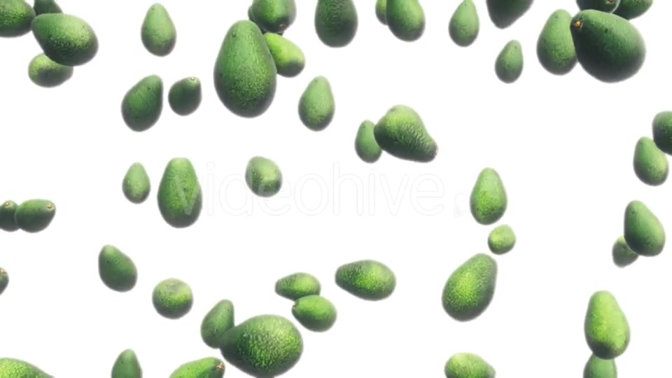 Avocados Falling Against White Videohive 19471105 Motion Graphics Image 8