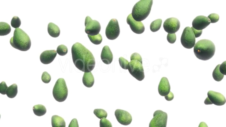 Avocados Falling Against White Videohive 19471105 Motion Graphics Image 9