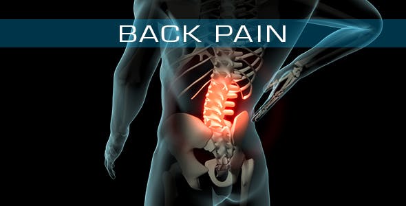 Back Pain - 21254728 Videohive Download