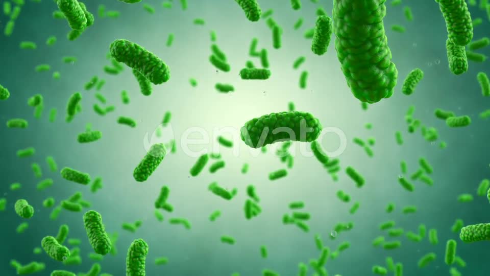 Bacteria Colony Videohive 23986400 Motion Graphics Image 1