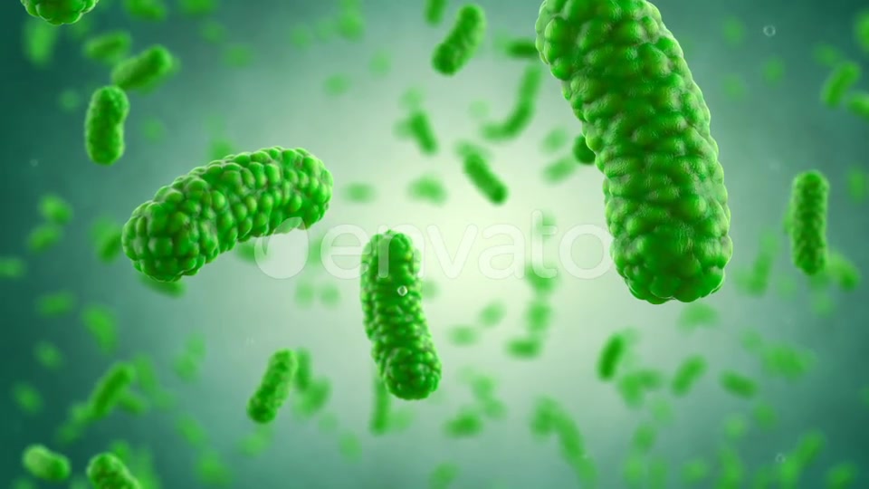 Bacteria Colony Videohive 23986400 Motion Graphics Image 10