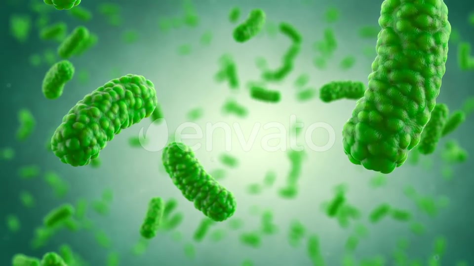 Bacteria Colony Videohive 23986400 Motion Graphics Image 11