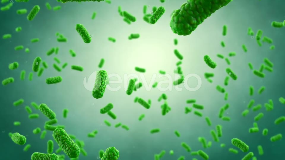 Bacteria Colony Videohive 23986400 Motion Graphics Image 2