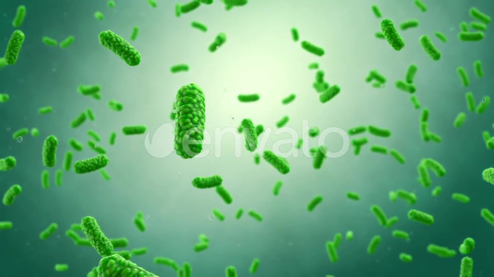 Bacteria Colony Videohive 23986400 Motion Graphics Image 3