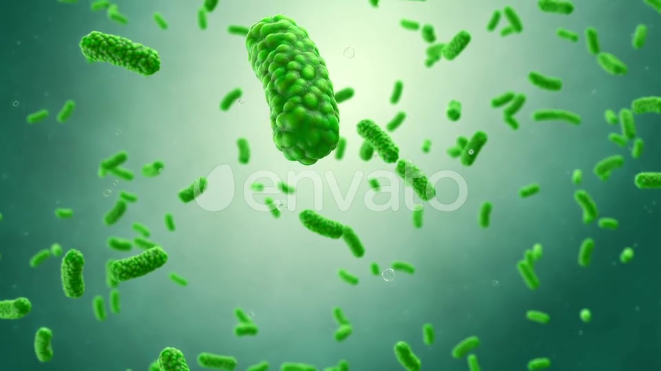 Bacteria Colony Videohive 23986400 Motion Graphics Image 4