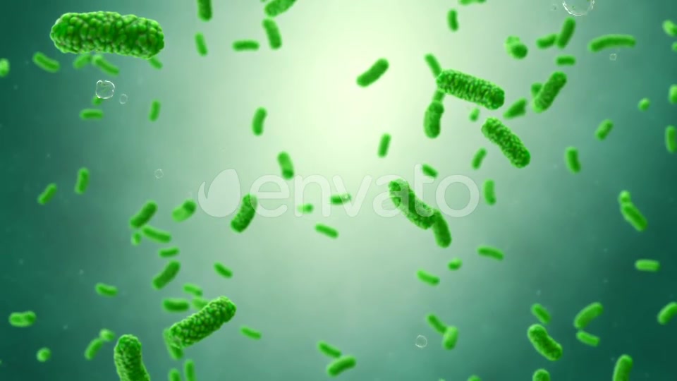 Bacteria Colony Videohive 23986400 Motion Graphics Image 5