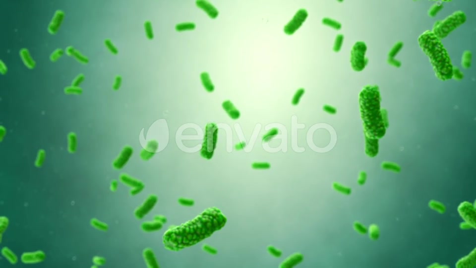 Bacteria Colony Videohive 23986400 Motion Graphics Image 6