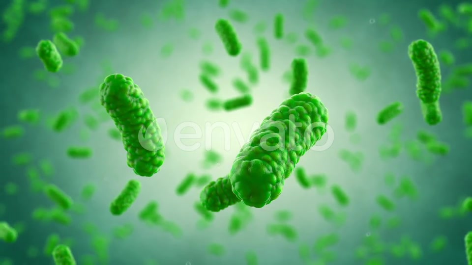 Bacteria Colony Videohive 23986400 Motion Graphics Image 7