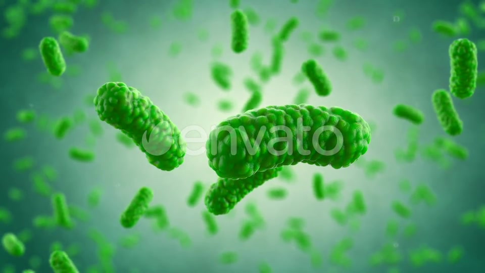 Bacteria Colony Videohive 23986400 Motion Graphics Image 8