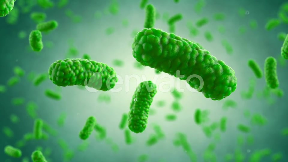 Bacteria Colony Videohive 23986400 Motion Graphics Image 9