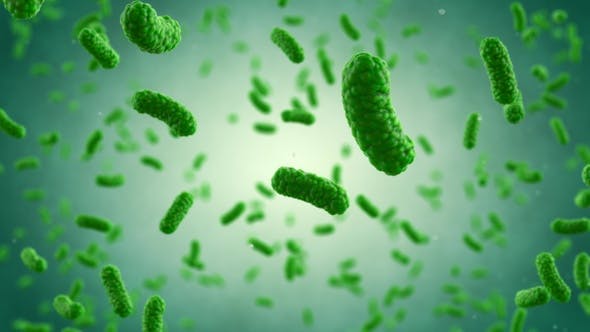 Bacteria Colony - Download Videohive 23986400