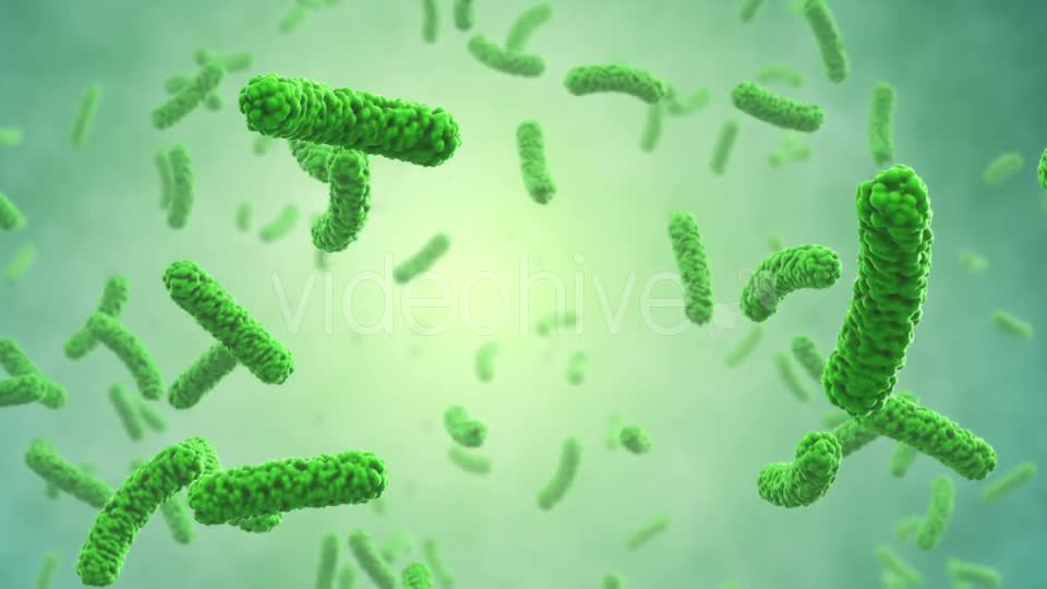 Bacteria Colony Videohive 21023354 Motion Graphics Image 1