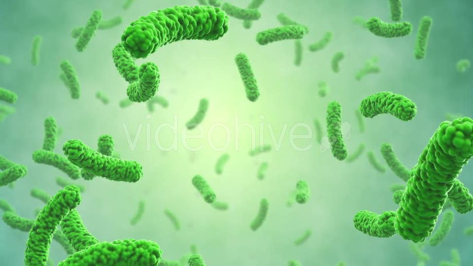 Bacteria Colony Download Quick Videohive 21023354 Motion Graphics