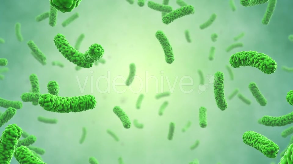Bacteria Colony Videohive 21023354 Motion Graphics Image 3