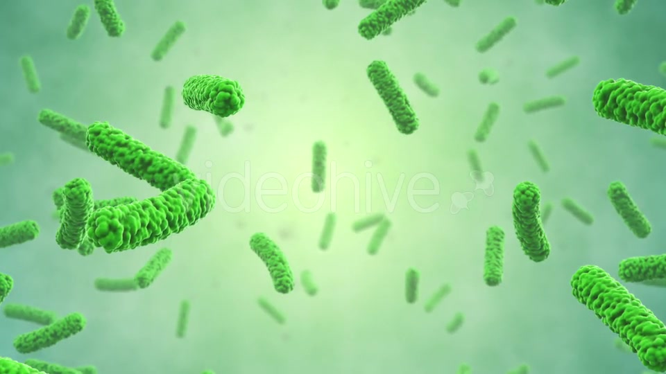 Bacteria Colony Videohive 21023354 Motion Graphics Image 4