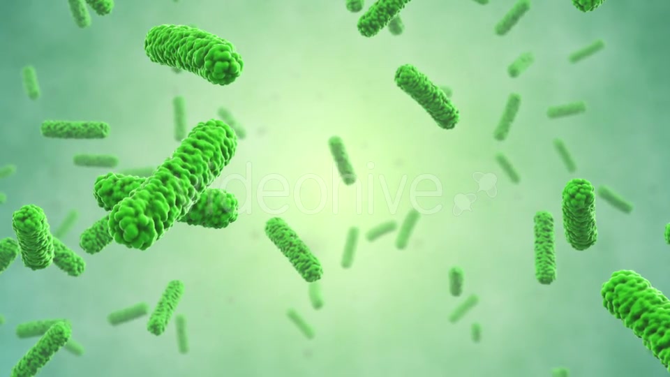 Bacteria Colony Videohive 21023354 Motion Graphics Image 5