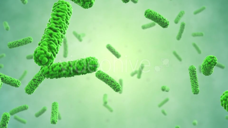 Bacteria Colony Videohive 21023354 Motion Graphics Image 6