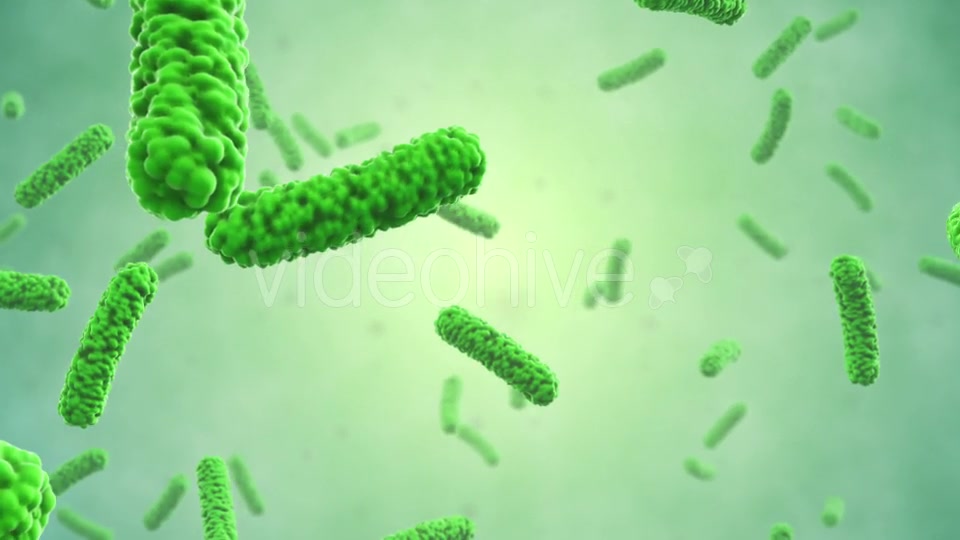 Bacteria Colony Videohive 21023354 Motion Graphics Image 7
