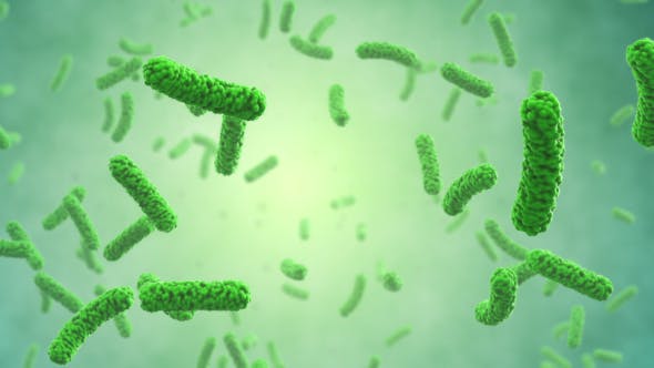 Bacteria Colony - Videohive 21023354 Download