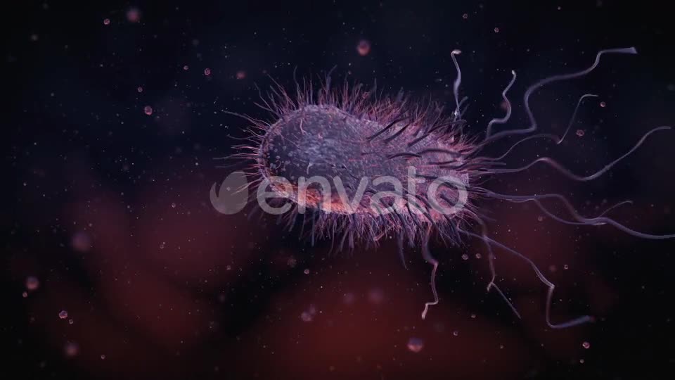 Bacteria Videohive 22848931 Motion Graphics Image 1