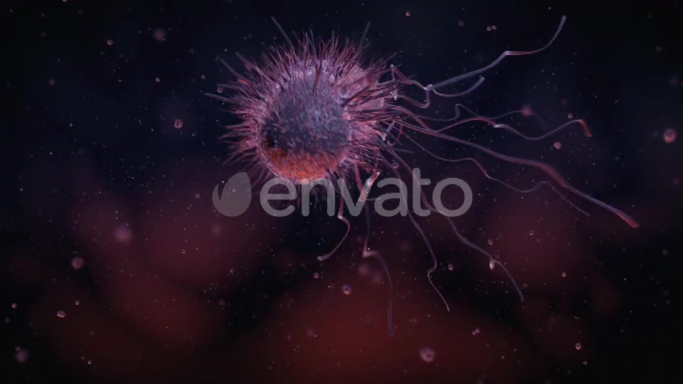 Bacteria Videohive 22848931 Motion Graphics Image 2